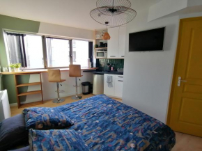 Vannes: charmant studio sur le port